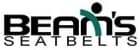 Beams Seatbelts Image